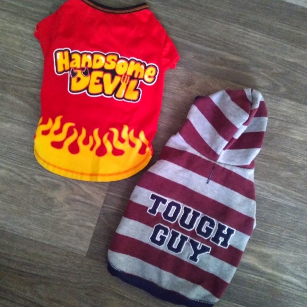 🐕 Dog bundle 🐕